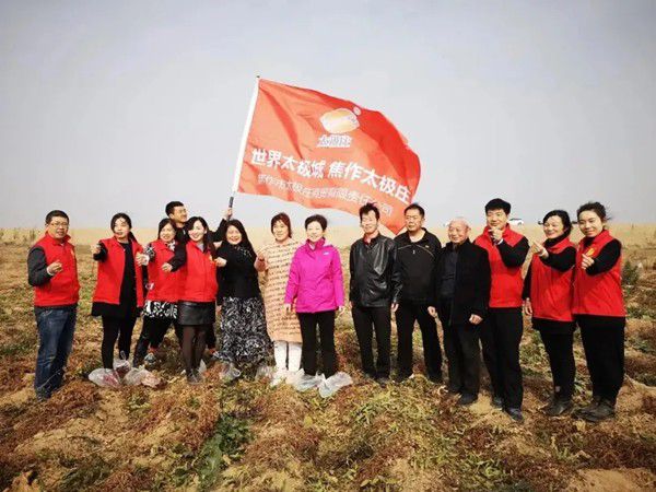 11月12日，眾人翹首以盼的太極莊山藥采挖活動(dòng)在太極莊公司的溫縣·富硒鐵棍山藥標(biāo)準(zhǔn)化種植基地拉開帷幕