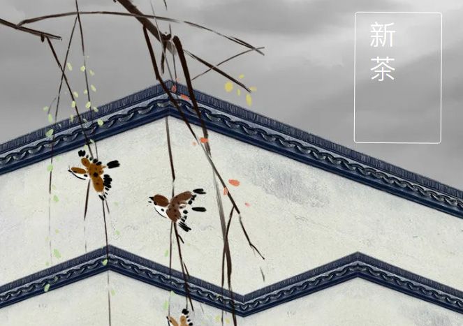 太極莊新菊上市！白菊婉清顏，芳香滿庭院